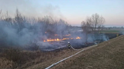 Płomienie szybko objęły teren nieużytków rolnych i zmusiły s
