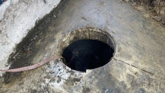 Zwierzę wpadło do szamba. Konieczna była interwencja strażaków