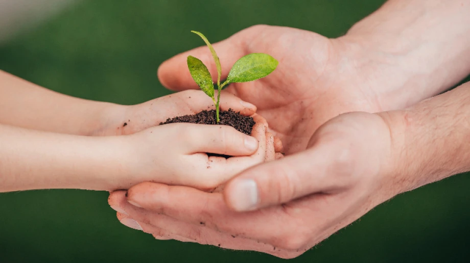 Zdjęcie ilustracyjne