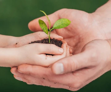 Mieszkańcy gminy Szulborze Wielkie będą mogli wziąć udział w ekologicznej akcji 