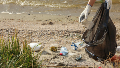 Ostrów Mazowiecka - 25 kwietnia 2026 roku odbędzie się akcja 