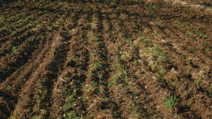 Ostrów Mazowiecka - Samorząd Województwa Mazowieckiego po raz kolejny oferuje be