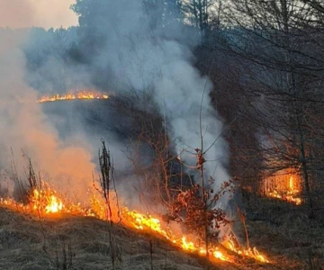 8 marca 2026 strażacy gasili pożary traw na nasypach kolejowych w gminach Małkin