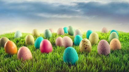 Ostrów Mazowiecka - Szykujcie się na mnóstwo śmiechu, kolorów i świetnej zabawy!