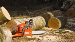 Tragiczny wypadek podczas wycinki drzew w Sumiężnem gm. Małkinia Górna