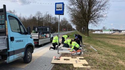 Ostrów Mazowiecka - Wiosna dopiero się zaczęła, a w gminie Wąsewo już widać pier