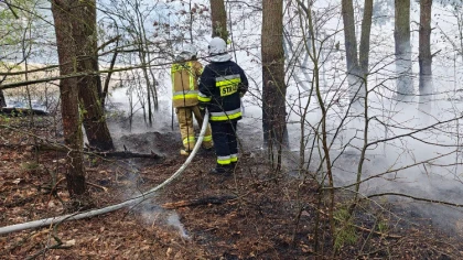 We wtorkowe popołudnie w miejscowości Króle w gminie Wąsewo 