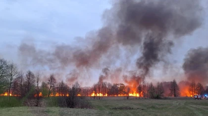 Ogień pojawił się tam, gdzie wystarczy chwila nieuwagi i syt