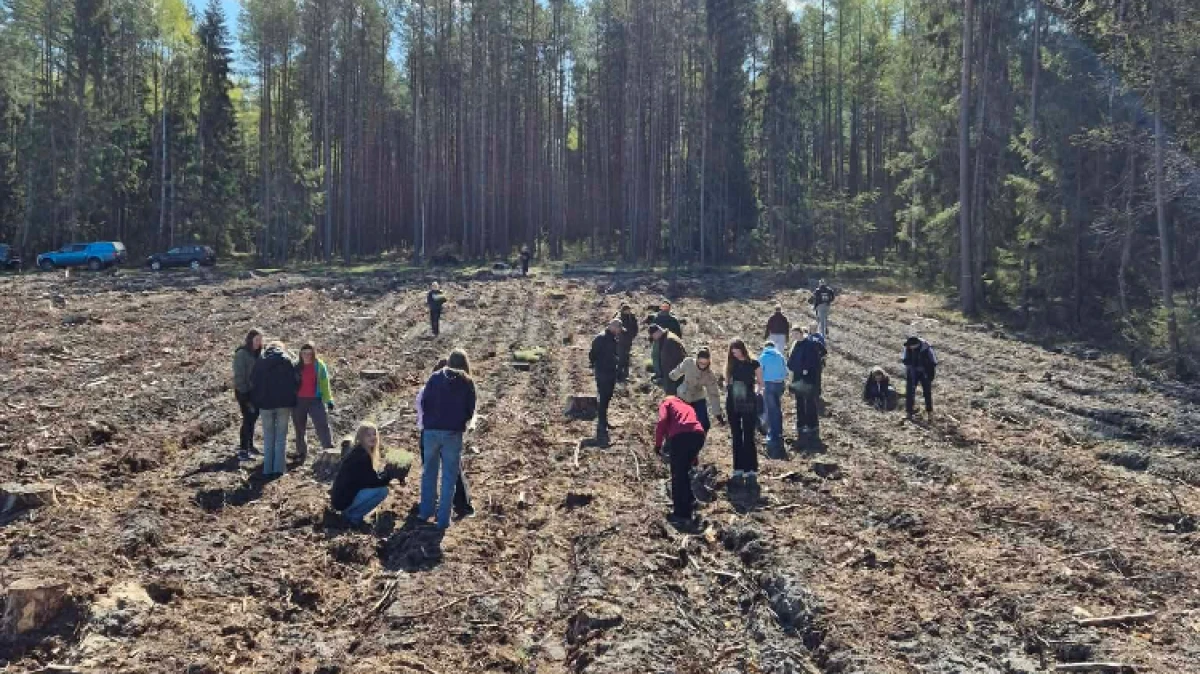 Fot. LO im. M. Kopernika