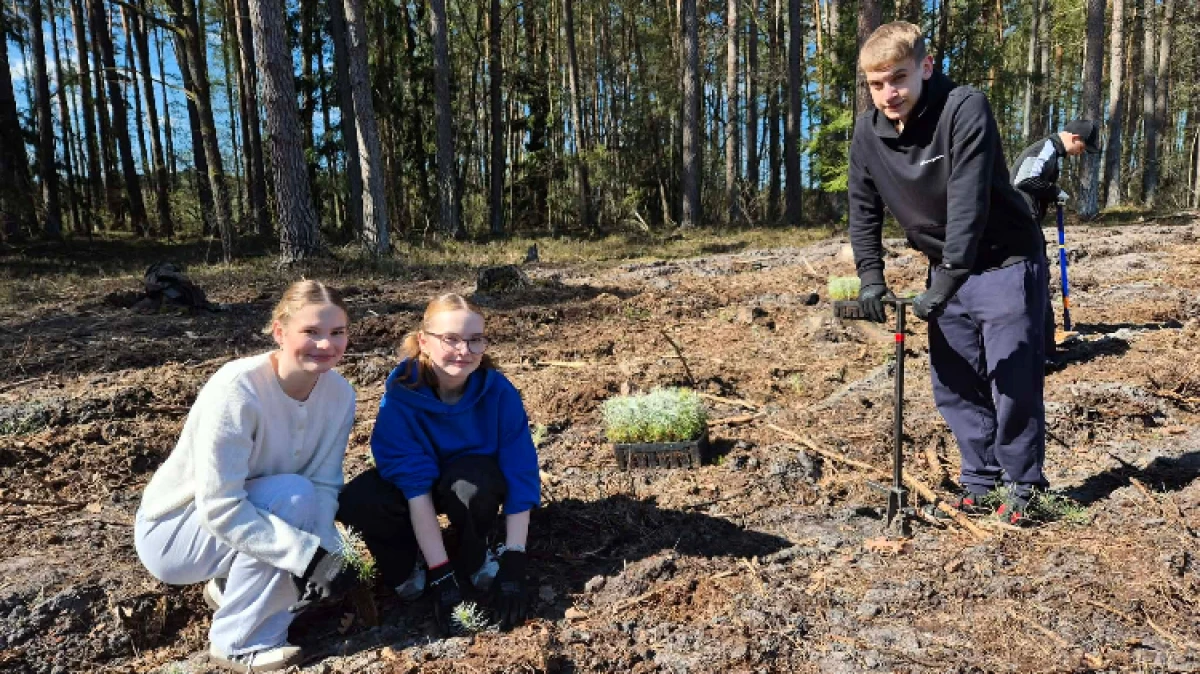 Fot. LO im. M. Kopernika