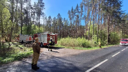Strażacy ruszyli do akcji, jakby chodziło o prawdziwe zagini