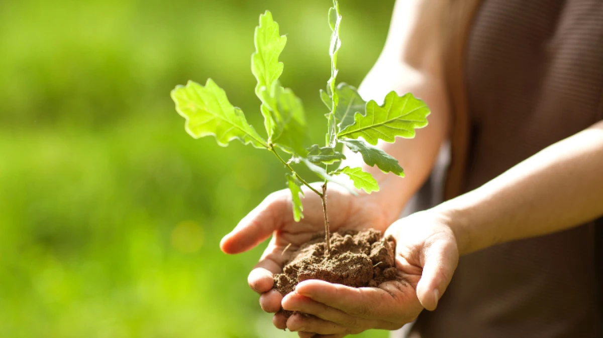 Droga Czytelniczko, drogi Czytelniku, mamy dla Ciebie propozycję. Na pewno masz w domu plastik, makulaturę, czy małe elektrośmieci. Przynieś j