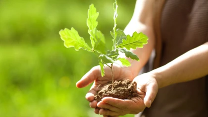 Droga Czytelniczko, drogi Czytelniku, mamy dla Ciebie propoz