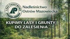 Nadleśnictwo Ostrów Mazowiecka jest zainteresowane zakupem lasów lub gruntów przeznaczony…