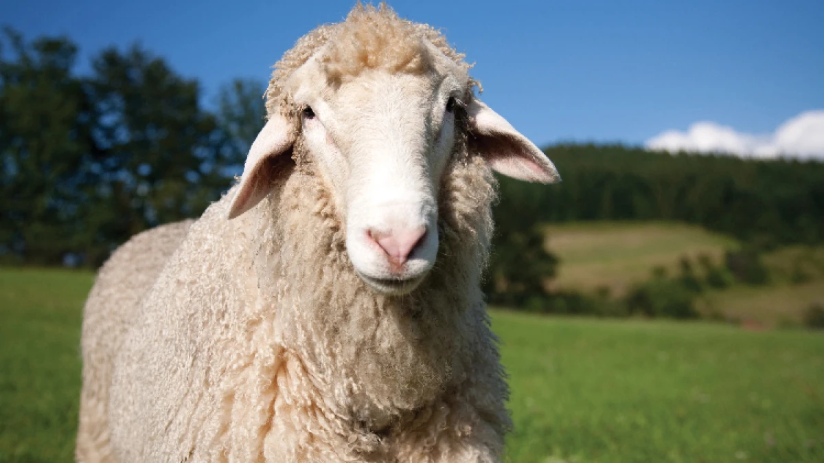 Nie każdy news z 1 kwietnia trzeba brać całkiem serio i tym razem właśnie tak było. Jeden z naszych wczorajszych artykułów okazał się pri