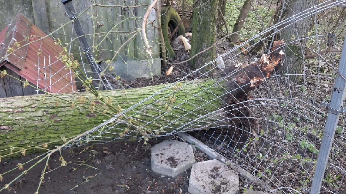 Fot. OSP Zaręby Kościelne