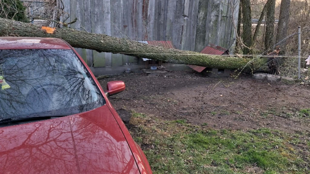 Silny wiatr daje się w Poniedziałek Wielkanocny we znaki. W Świerżach-Kończanach po godz. 17.00 strażacy zostali wezwani do usunięcia wiatro