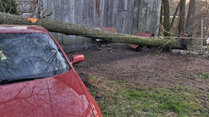Ostrów Mazowiecka - Silny wiatr daje się w Poniedziałek Wielkanocny we znaki. W 