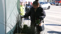 Piknik na zielono w Ostrowi Mazowieckiej już w środę! Będziemy rozdawać sadzonki drzewek,…