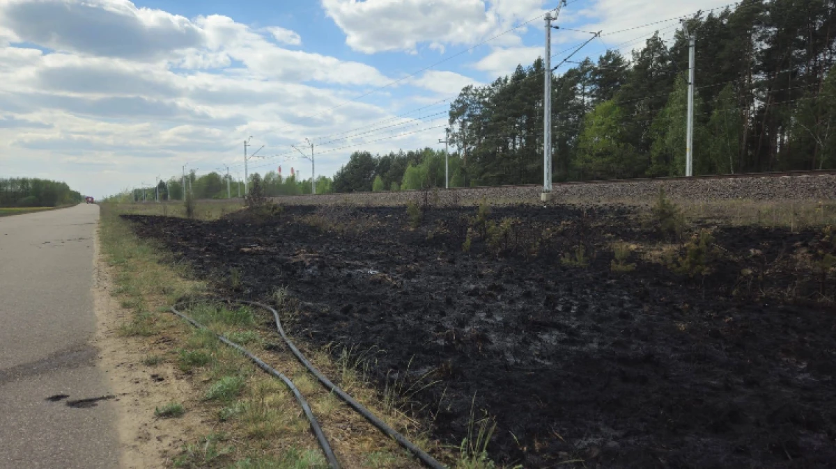 6 maja po godzinie 11.00 strażacy z kilku jednostek zostali wezwani do pożaru nasypu kolejowego na odcinku Gąsiorowo – Małkinia.
[foto]48063