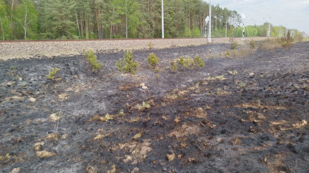 Fot. OSP Małkinia Górna