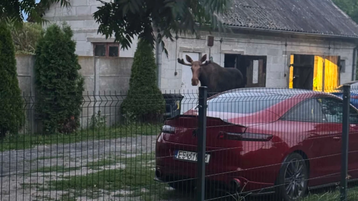 Fot. Czytelniczka