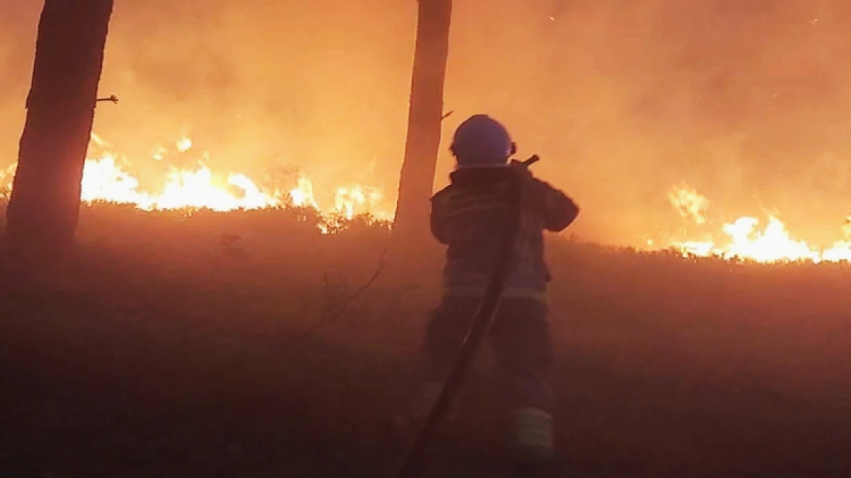 Od początku roku do wakacji w mazowieckich lasach wybuchło aż 1388 pożarów a tylko w maju ponad 500. Sprawny sprzęt i dobrze przygotowani str