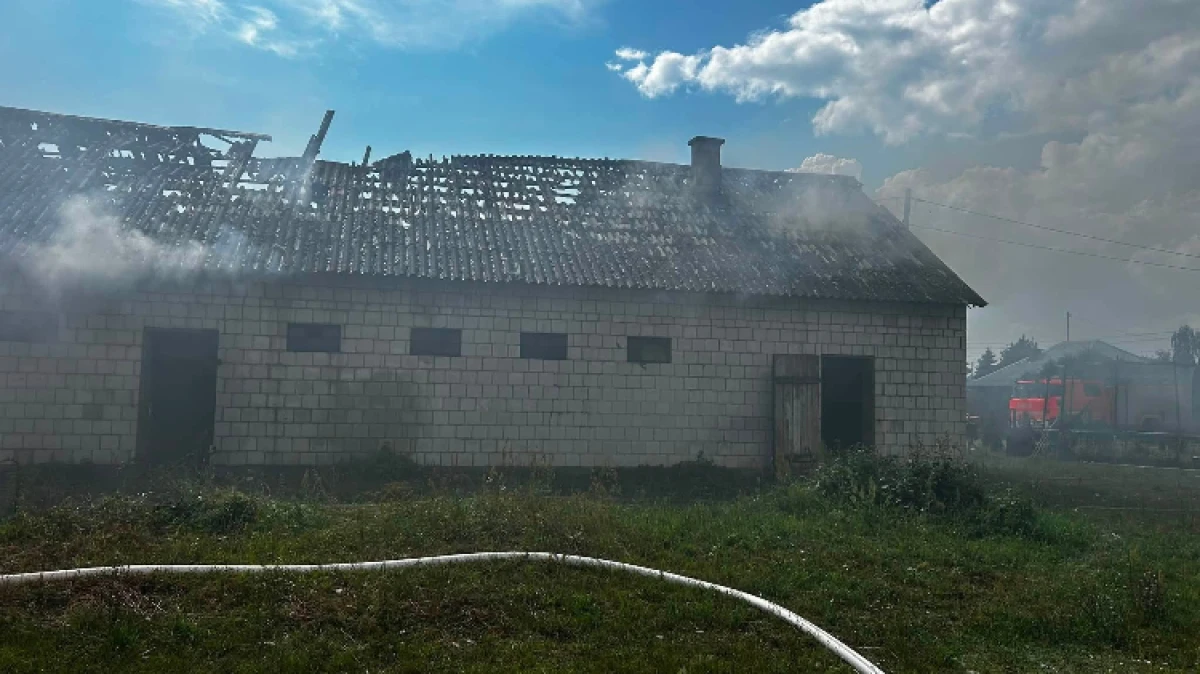 Fot. OSP Wąsewo, OSP Rząśnik Włościański