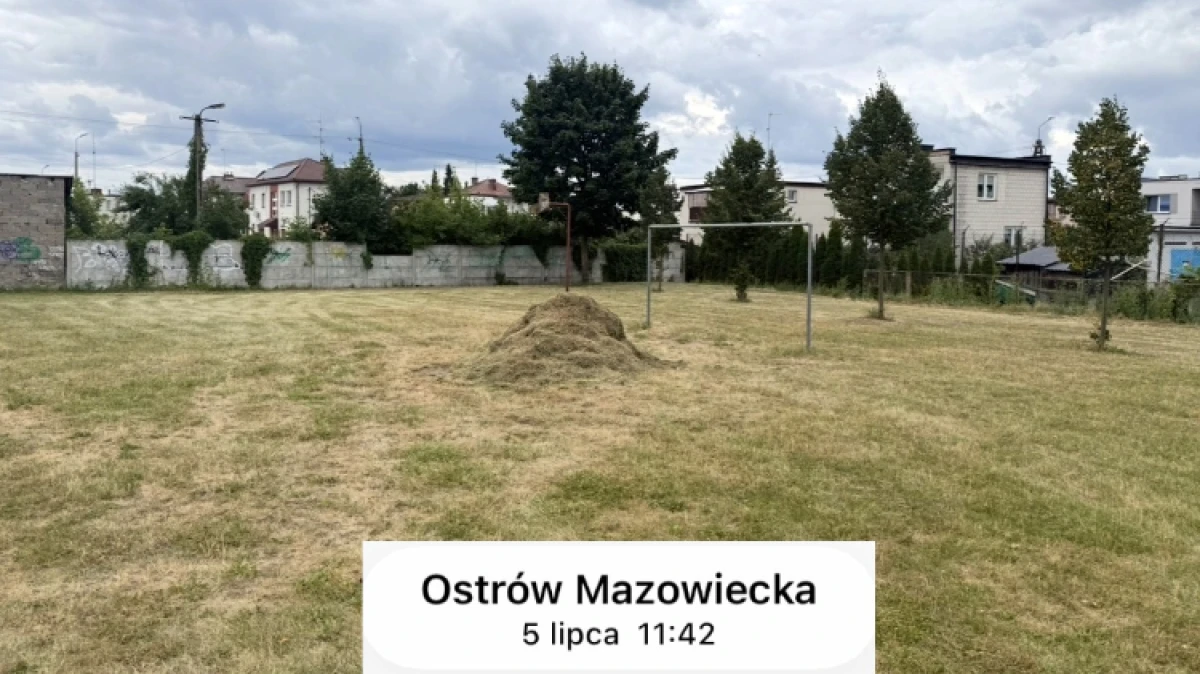 Sterta skoszonej trawy przed bramką na boisku przy skrzyżowaniu ulic Miodowej i Robotniczej w Ostrowi Mazowieckiej stała się powodem sporu. Wic
