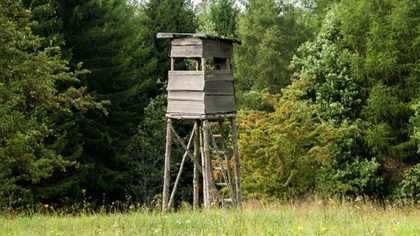 Ostrów Mazowiecka - To historia rodem z najgorszych koszmarów. Pozostawioną w le