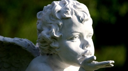 Ostrów Mazowiecka - Parafia pw. Wniebowzięcia Najświętszej Maryi Panny w Ostrowi