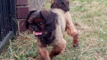 Ostrów Mazowiecka - Jedna z naszych czytelniczek zaalarmowała naszą redakcję inf