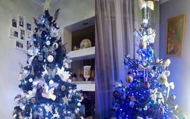 Ostrów Mazowiecka - Do naszej świątecznej galerii trafiły pierwsze bożonarodzeni