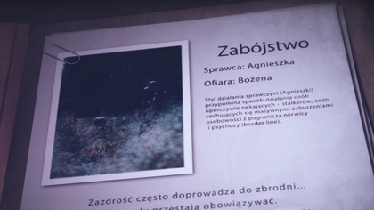 Ostrów Mazowiecka - Na kryminalnym kanale Crime+Investigation Polsat został wyem