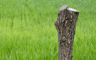 Ostrów Mazowiecka - Dzielnicowi z małkińskiego komisariatu policji zatrzymali dw