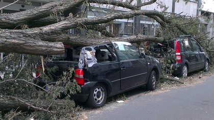 Ostrów Mazowiecka - Na osobowego peugeota, na drodze krajowej nr 50 w Starej Gra