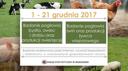 Ostrów Mazowiecka - W wylosowanych gospodarstwach rolnych na terenie całego kraj
