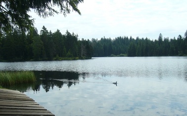 Ostrów Mazowiecka - Bardzo wiele osób zastanawia się, co sprawia, że inwestowani