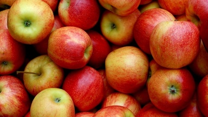 Ostrów Mazowiecka - Nawet do 15 mln zł wsparcia przeznaczono dla przetwórców z s