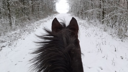 Ostrów Mazowiecka - Uczestnicy I Zimowego Rajdu Konnego Szlakiem Powstań Narodow