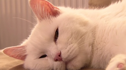 Ostrów Mazowiecka - Szacuje się, że nawet połowa Polaków może cierpieć na bezsen