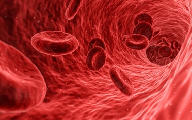 Ostrów Mazowiecka - Regionalne Centrum Krwiodawstwa i Krwiolecznictwa w Warszawi