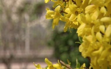 Ostrów Mazowiecka - 8 marca obchodzimy międzynarodowy Dzień Kobiet. Przyjrzyjmy 