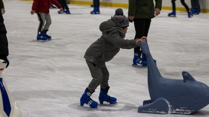 Ostrów Mazowiecka - Miejski Ośrodek Sportu i Rekreacji w Ostrowi Mazowieckiej wy