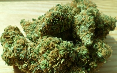 Ostrów Mazowiecka - Ostrowscy dzielnicowi w piątek 13 stycznia skontrolowali sam