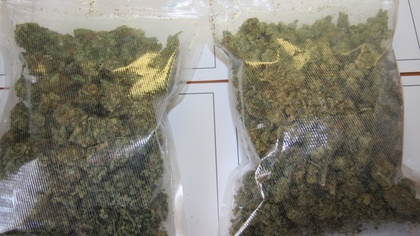 Ostrów Mazowiecka - W miejscu zamieszkania 23-letniego ostrowianina znaleziono 1