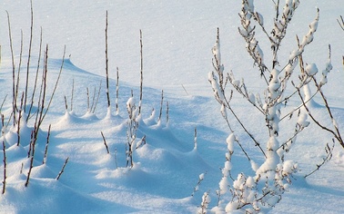 Ostrów Mazowiecka - Synoptycy Instytutu Meteorologii i Gospodarki Wodnej wydali 