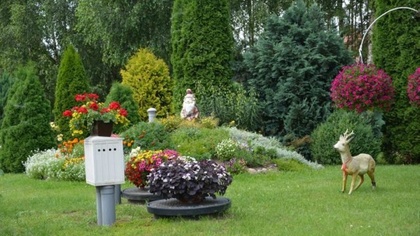 Ostrów Mazowiecka - Krystyna i Jan Puścian z Przyjm koło Poręby mogą pochwalić s