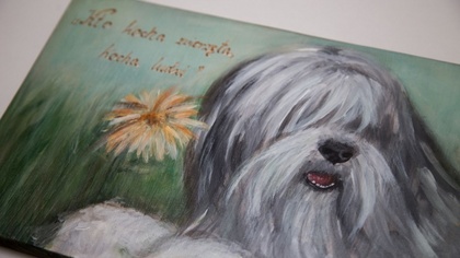 Ostrów Mazowiecka - PONiarze, czyli grupa zrzeszająca sympatyków polskich owczar