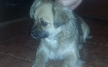 Ostrów Mazowiecka - Nasza czytelniczka w miejscowości Stara Grabownica (gm. Ostr